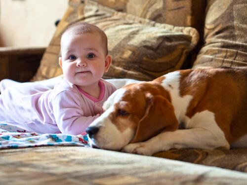 Nora und Basset