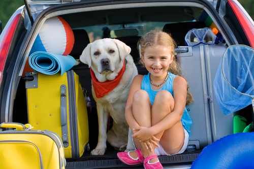 Kind mit Hund im Aute, beiden brauchen Sicherheitsgurt