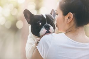Brief eines adoptierten Hundes an seine Herrin