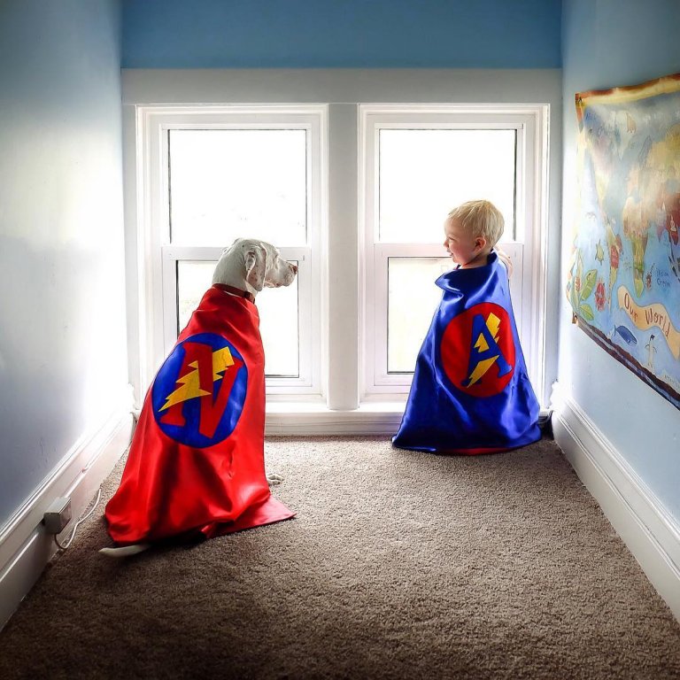 Hund mit schlimmer Vergangenheit, Baby hilft ihm