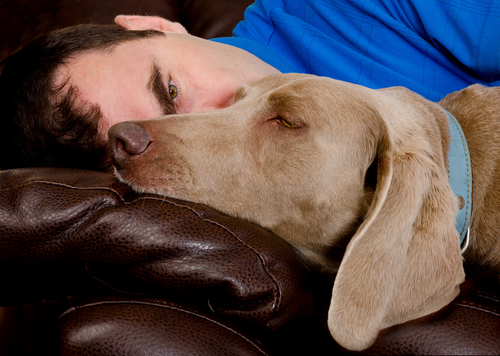 Schlafpositionen auf der Couch