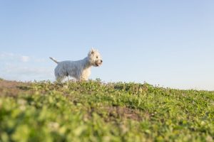 Seit du weg bist ...
