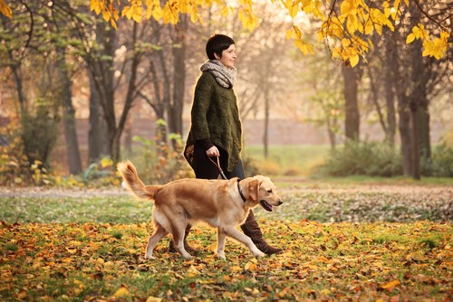 Gibt die Frau oder der Hund den Ton an?