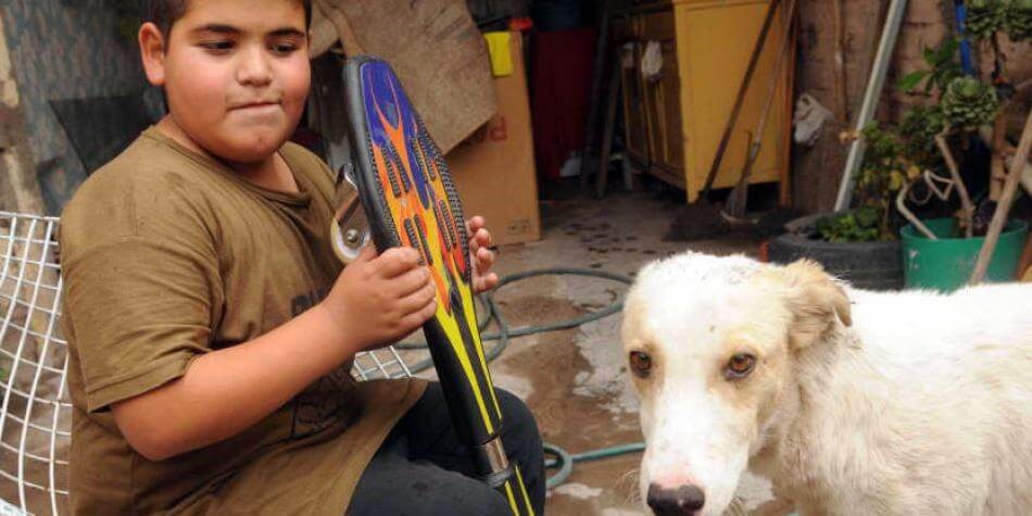 Hund mit Freund und Skateboard