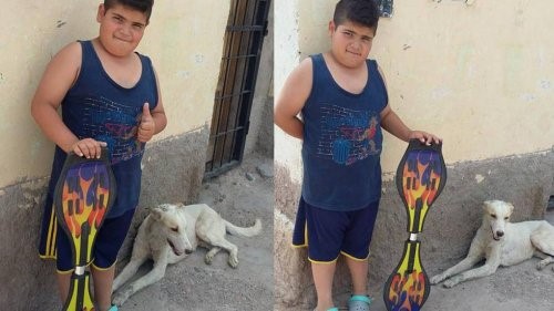 Junge verkauft Skateboard, um Straßenhund zu pflegen Junge verkauft Skateboard, um Straßenhund zu pflegen