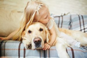 Du solltest deinen Hund nicht umarmen!