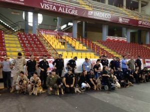 Pensionierte Polizeihunde adoptieren