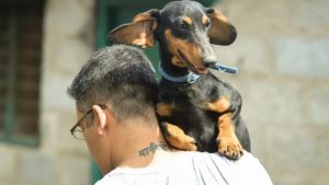 Mann rettet Hund