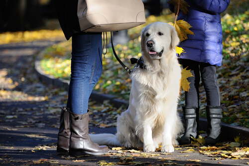 Hund mit Frauchen und Herrchen