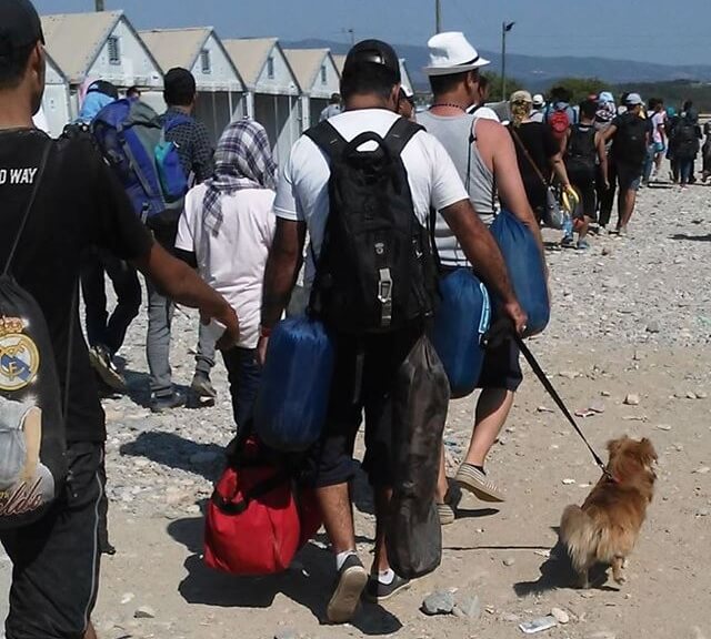 Syrische Flüchtlinge und ihre Haustiere