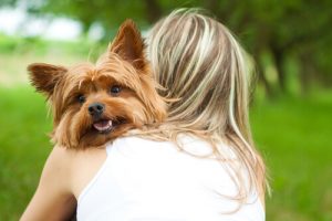 Woran erkennst du, dass dein Hund dich liebt?
