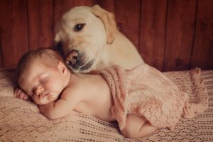 Wie du deinen Hund auf ein Baby vorbereitest - 6 Tipps