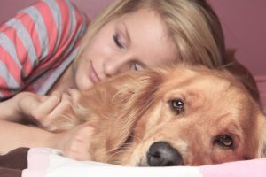 Darf das Haustier ins Bett? Vor- und Nachteile