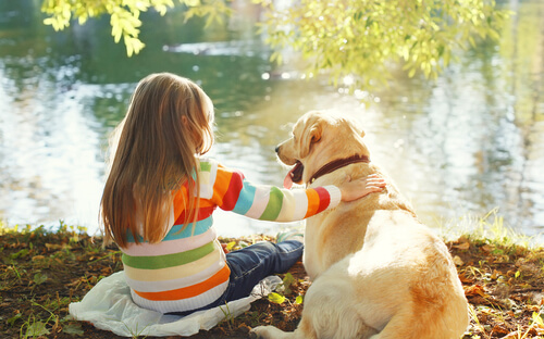 Tipps, um einen Hund zu sozialisieren