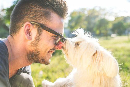 Abhängigkeit eines Hundes von seinem Besitzer