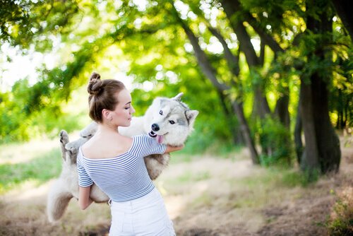 Hunde schlafen bessere Lebensqualität