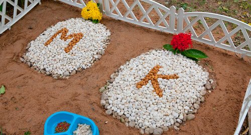 Tierfriedhöfe geschmückte Gräber