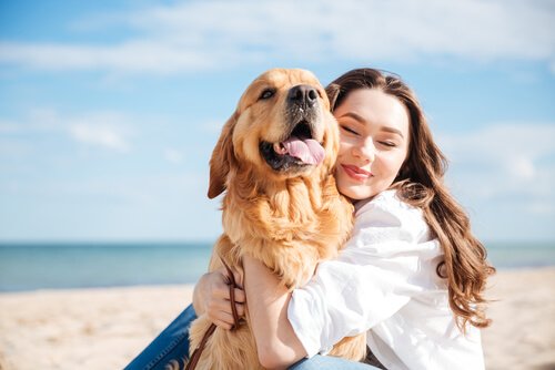 Abhängigkeit von Hund und Frau