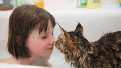 Autistisches Mädchen und Katze: wunderbare Beziehung!