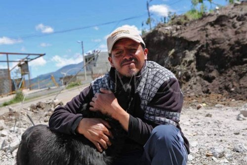 Mann und Hund nach Erdbeben