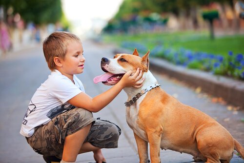 Kind mit Asthma streichelt Hund