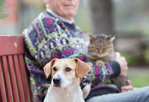 Dein Hund kennt dich ausgezeichnet