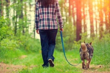 4 Tipps für einen angenehmen Spaziergang mit deinem Hund