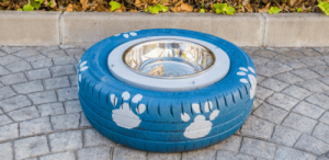 Trinknapf für Hunde selber machen