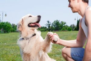 Dein Hund merkt, ob du glücklich oder verärgert bist