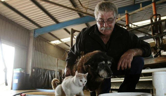 Der älteste Hund der Welt mit seiner Familie