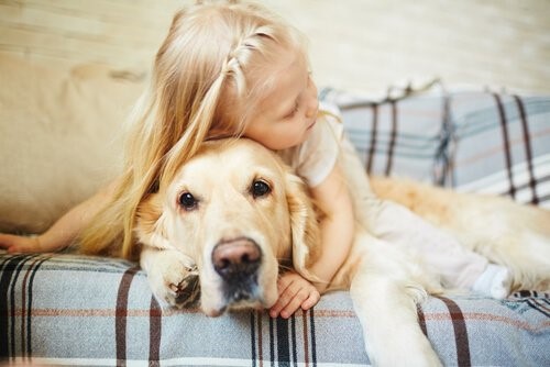 Die Angst bei Hunden - Kind umarmt Hund
