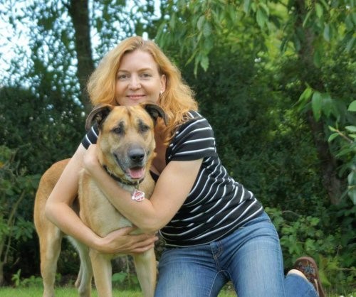 Die Stewardess und der Straβenhund