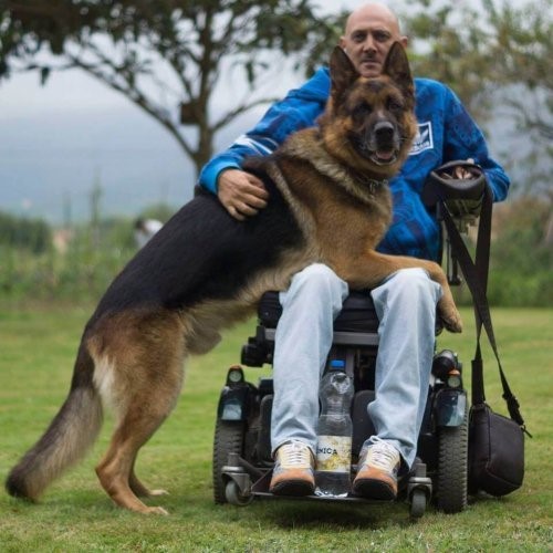 Die grenzenlose Liebe eines Hundes - Lobo und Rodolfo