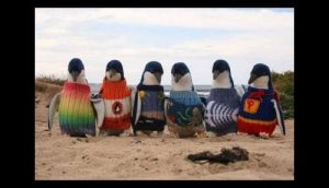 Ein 109-jähriger Mann strickt kleine Pullover für Pinguine
