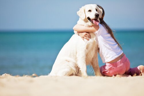 Ein Mädchen ist glücklich mit ihrem Hund