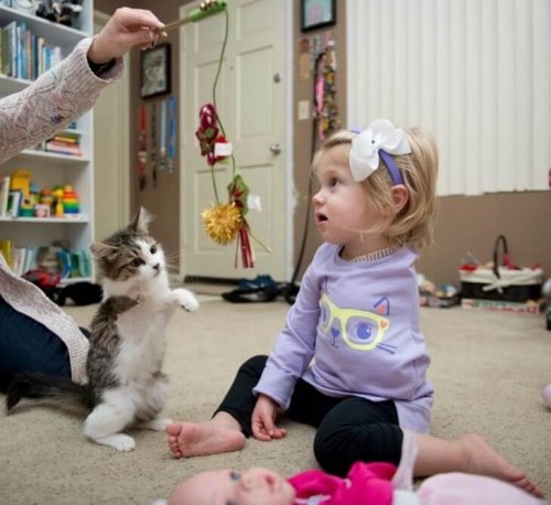 Dreibeiniges Kätzchen wird von Mädchen mit amputiertem Arm adoptiert