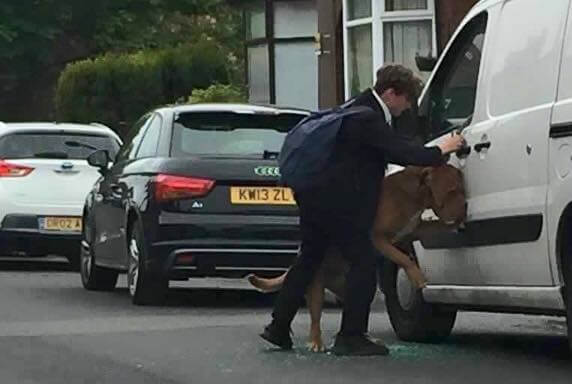 Bradley der Teenager rettet Boo