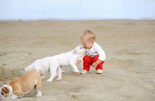 Baby und Hund beim Spiel
