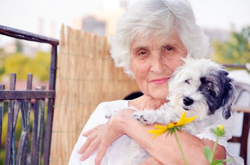 ältere Frau macht Hundetherapie