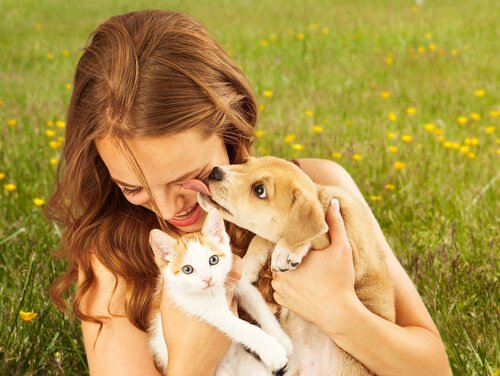 5 Gründe, warum es ein Haustier gut für die seelische Gesundheit ist