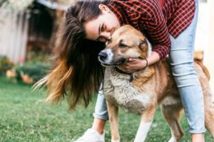 Hund fühlt sich glücklich mit Frauchen