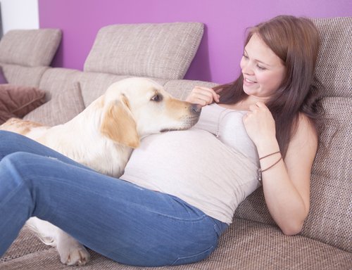 Hund während der Schwangerschaft einer Frau