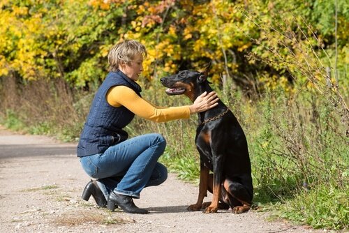 Krank durch Hundeküsse