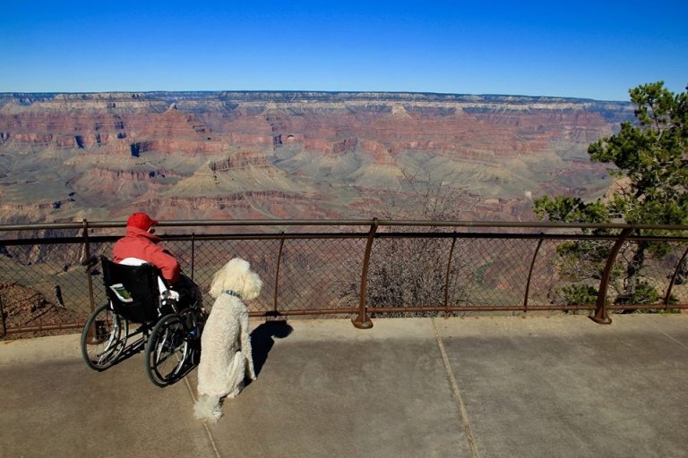 Frau und Hund unterwegs