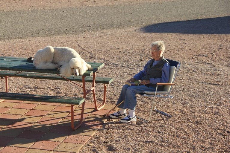 Frau und Hund