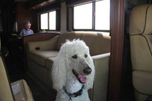 90-jährige Frau reist mit ihrem Hund durch die USA