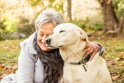 Ältere Menschen und Hunde Ältere Menschen und Hunde