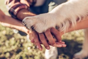 5 Wege, deinem Hund zu zeigen, dass du ihn liebst