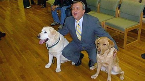 Der Blindenhund vom 11. September, der zurückkehrte, um sein Herrchen zu retten