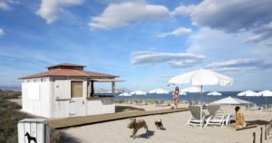 Die erste Strandbar für Hunde